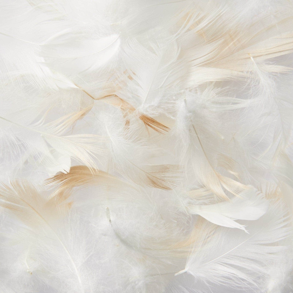 Gối Tựa Lưng Lông Vũ MUJI - S